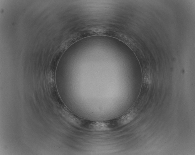 X0000073730518200608171232