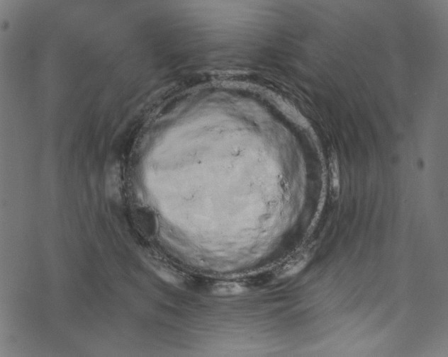 X0000073730519200608171232