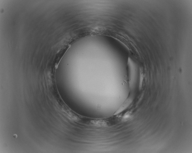 X0000073730520200608171232