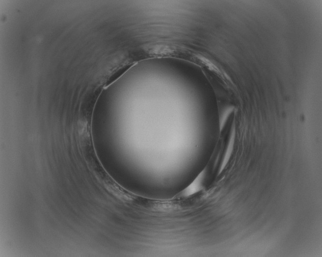 X0000073730521200608171232