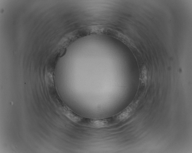 X0000073730522200608171232