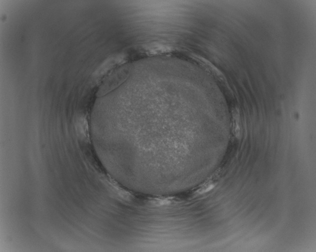 X0000073730523200608171232