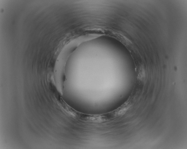 X0000073730524200608171232