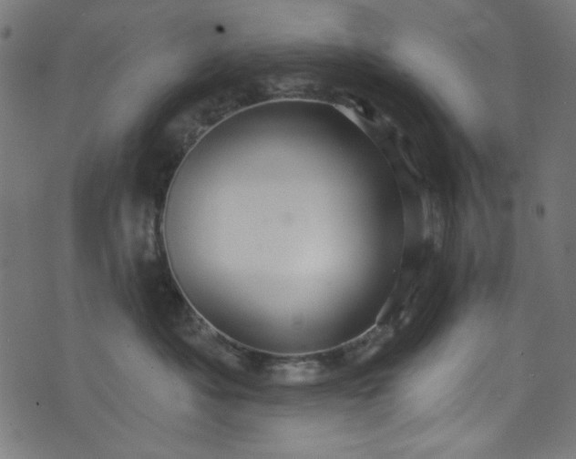 X0000073730525200608171232