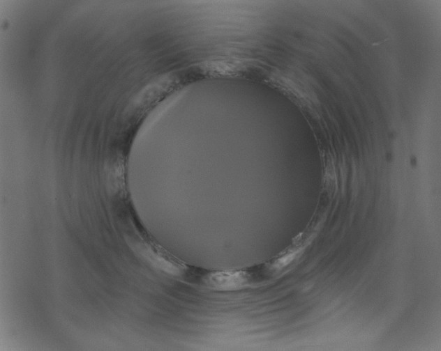 X0000073730526200608171232