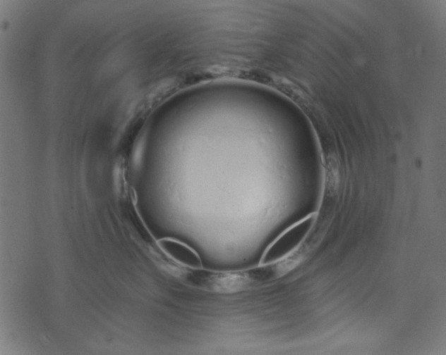 X0000073730527200608171232