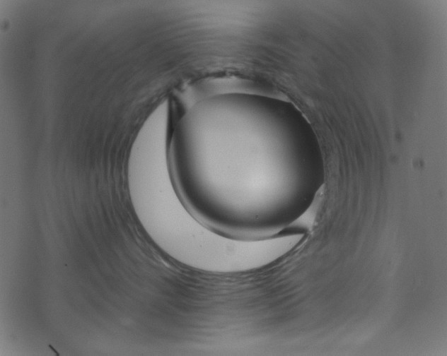 X0000073730528200608171232