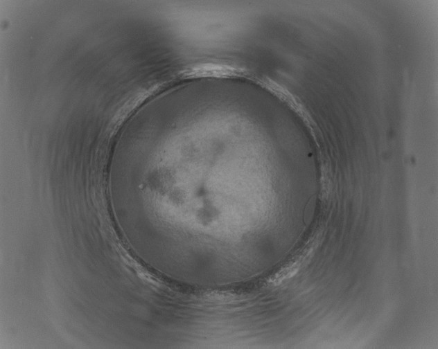 X0000073730529200608171231