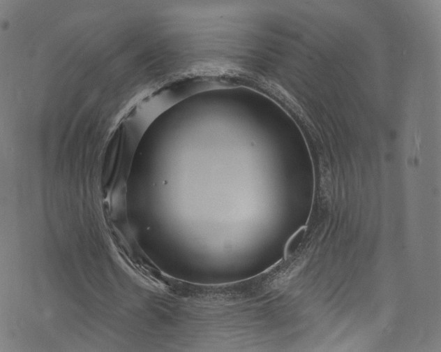 X0000073730530200608171231