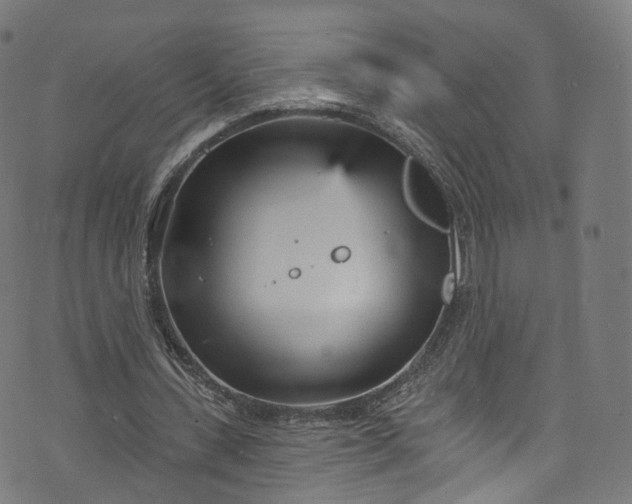 X0000073730531200608171231