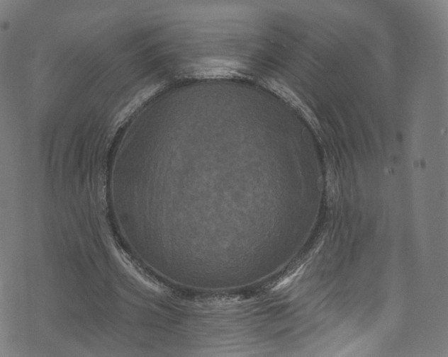 X0000073730533200608171231