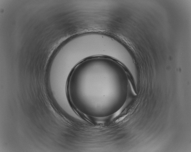 X0000073730540200608171231