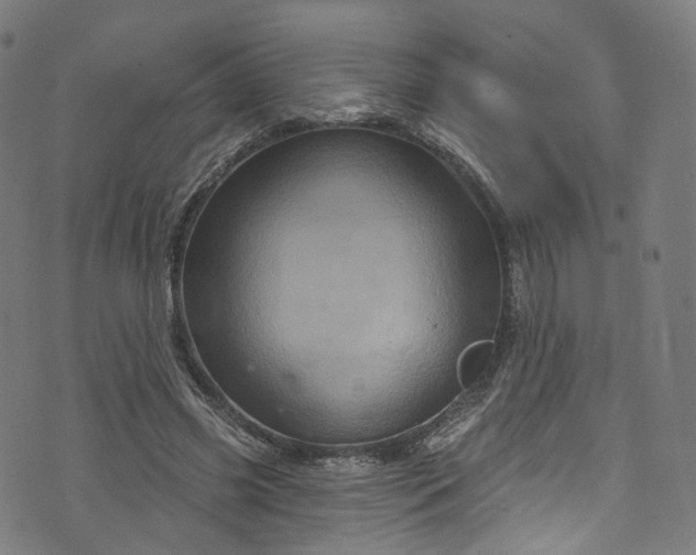 X0000073730541200608171231