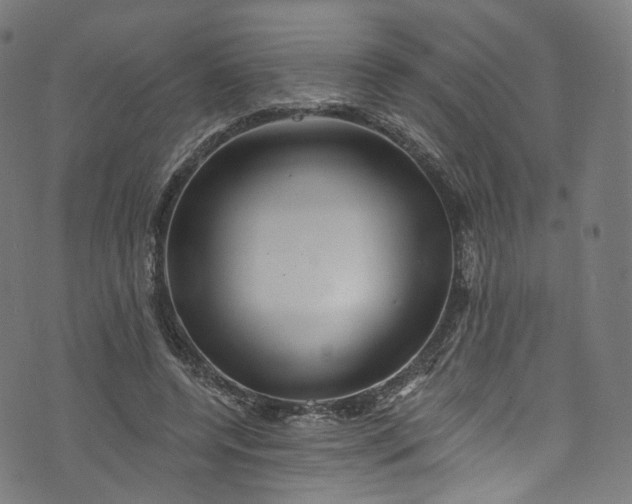 X0000073730544200608171231