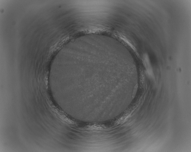 X0000073730545200608171231