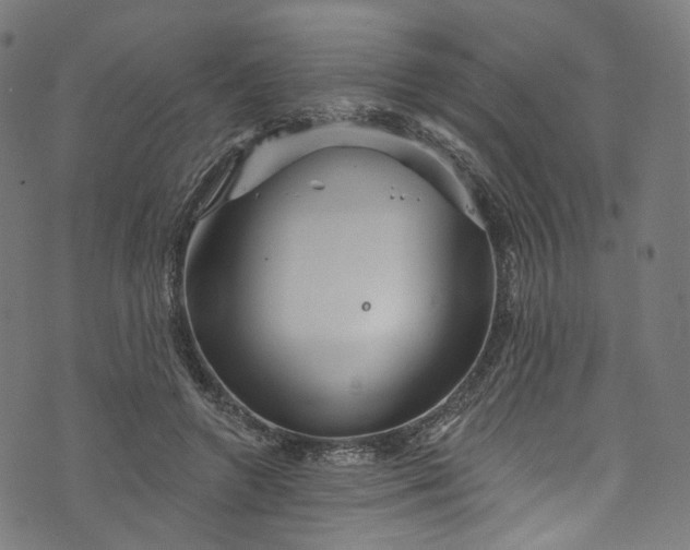 X0000073730546200608171231