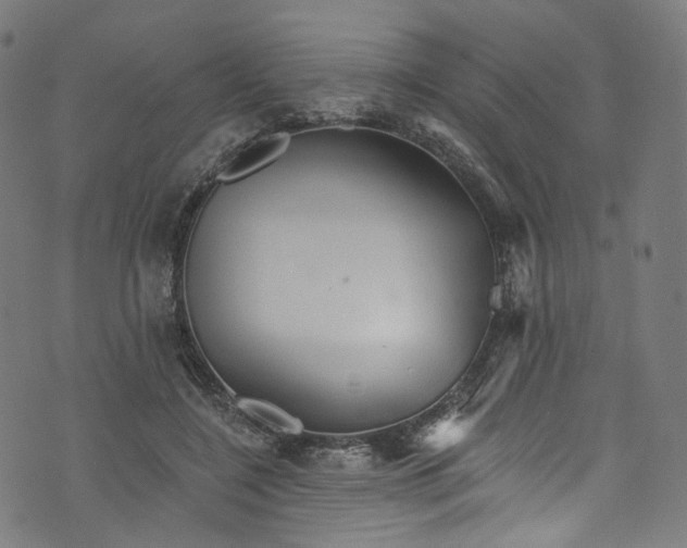 X0000073730548200608171231