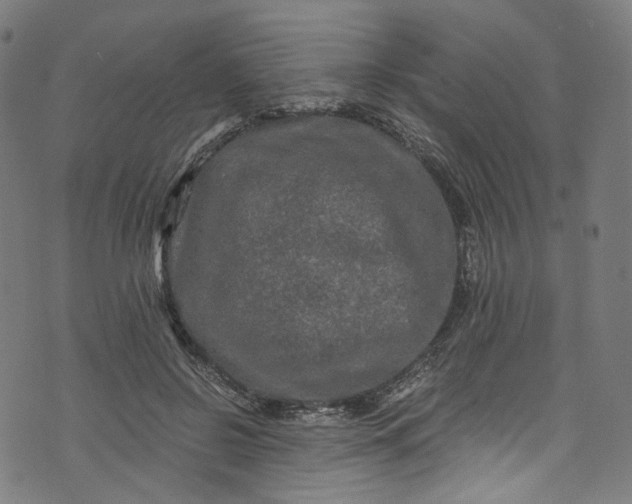 X0000073730550200608171231