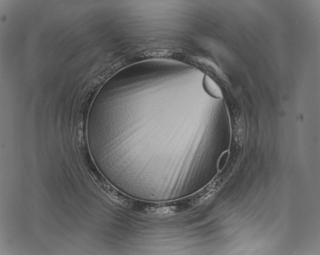 X0000073730553200608171231