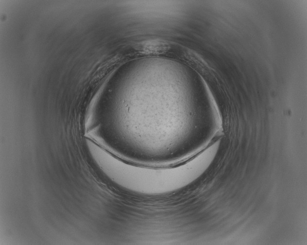 X0000073730554200608171231