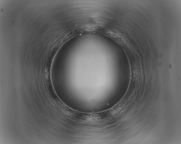 X0000073730555200608171231