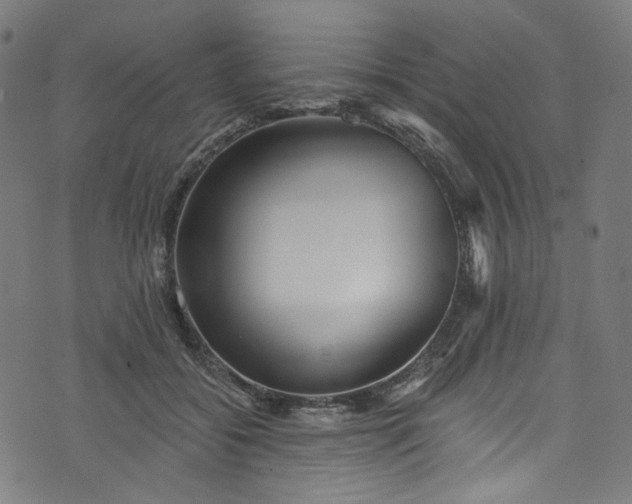 X0000073730556200608171231