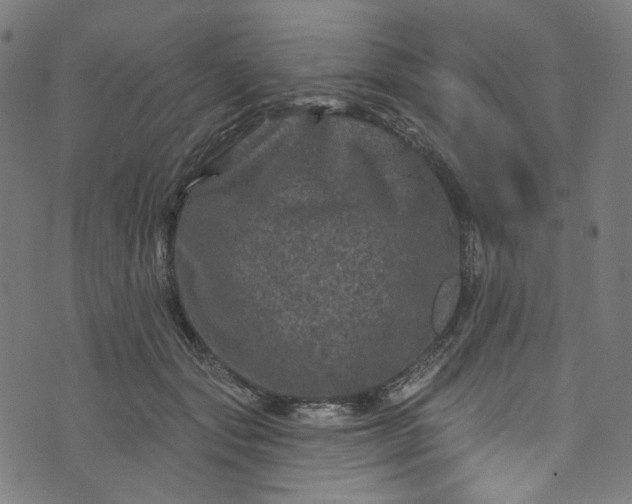 X0000073730557200608171231