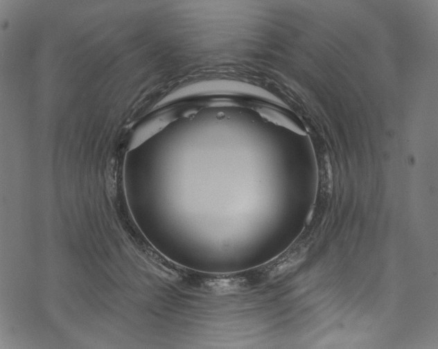 X0000073730558200608171231