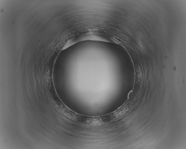 X0000073730559200608171231