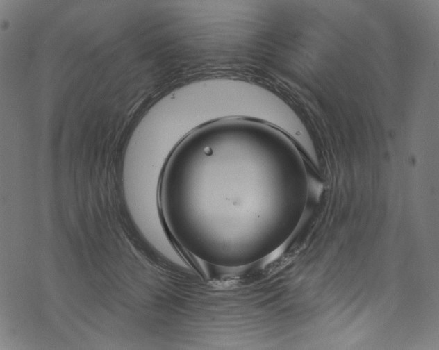 X0000073730560200608171231