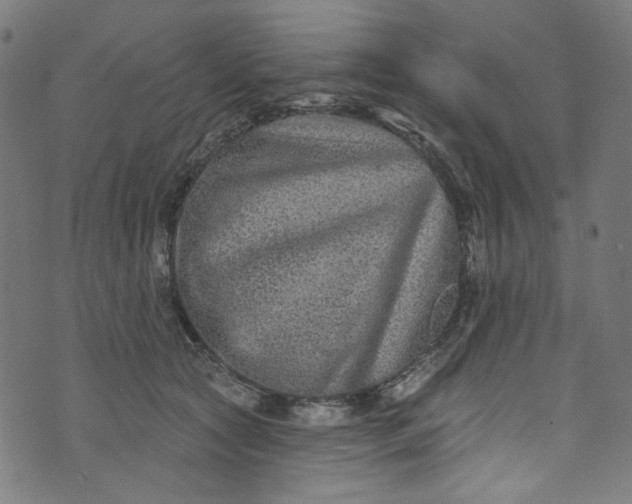 X0000073730561200608171231