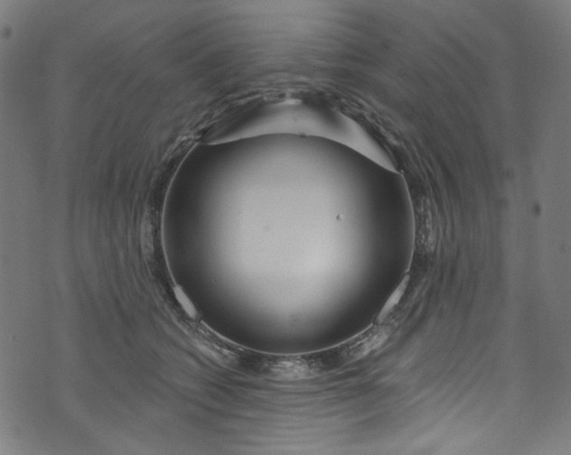 X0000073730562200608171231