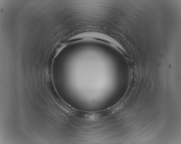 X0000073730564200608171231