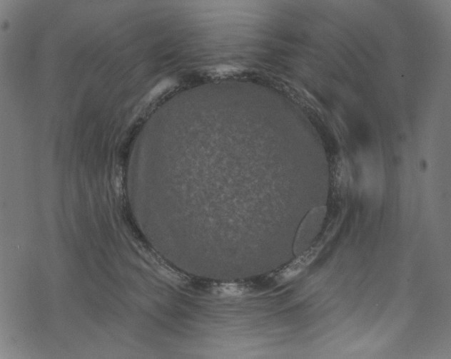 X0000073730565200608171232