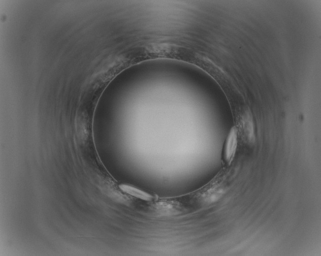 X0000073730566200608171232