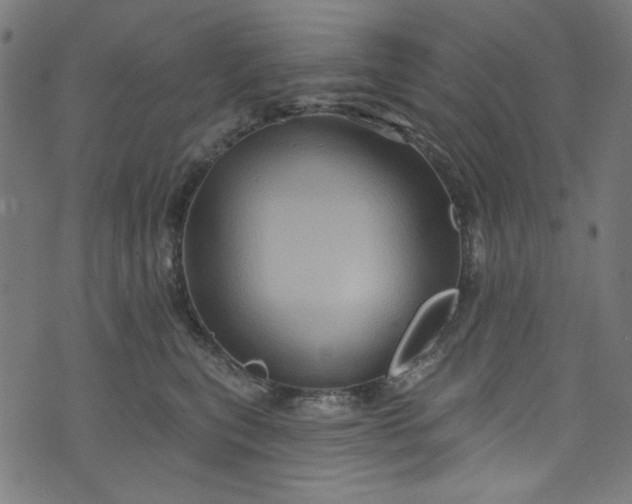 X0000073730567200608171232