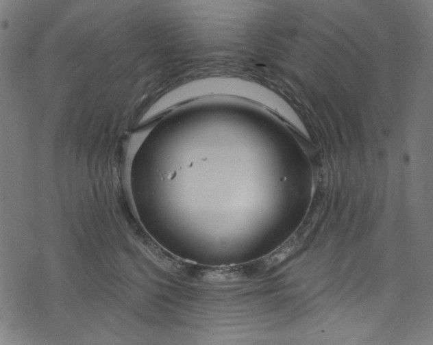 X0000073730568200608171232