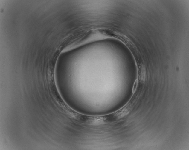 X0000073730569200608171232