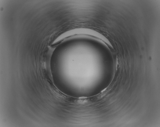 X0000073730570200608171232