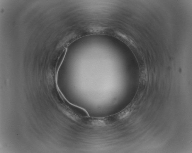 X0000073730572200608171232