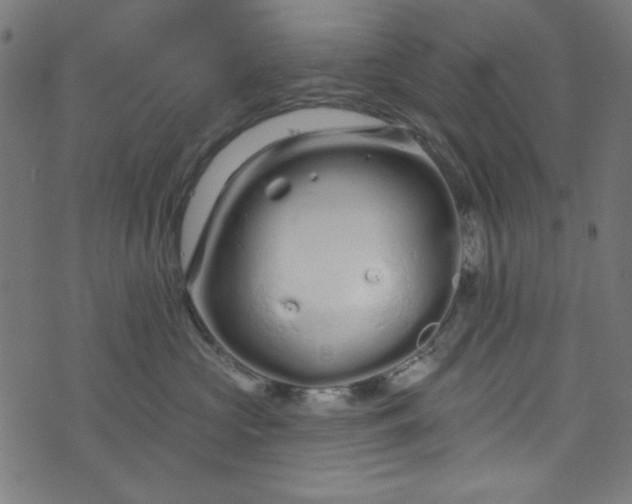 X0000073730573200608171232