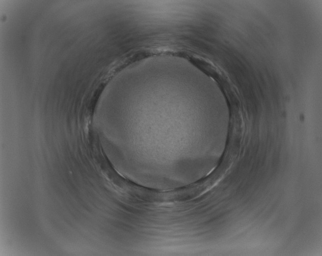 X0000073730574200608171232