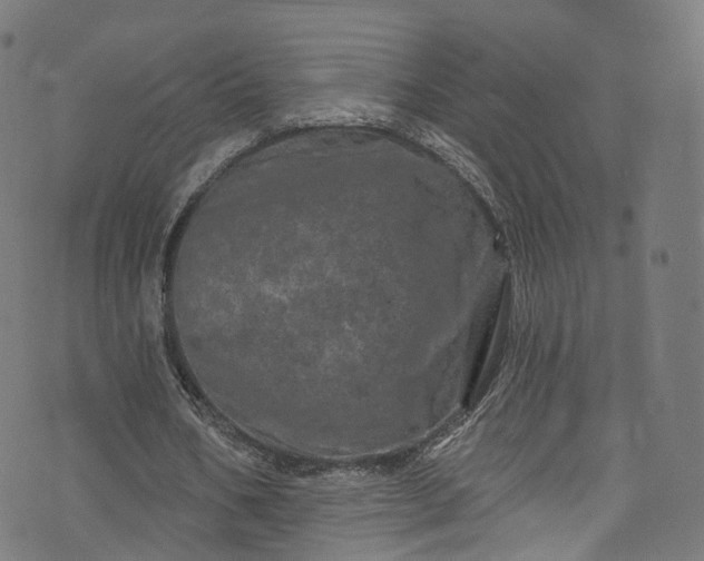 X0000073730578200608171231