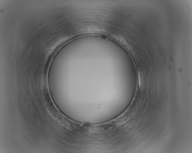 X0000073730579200608171231