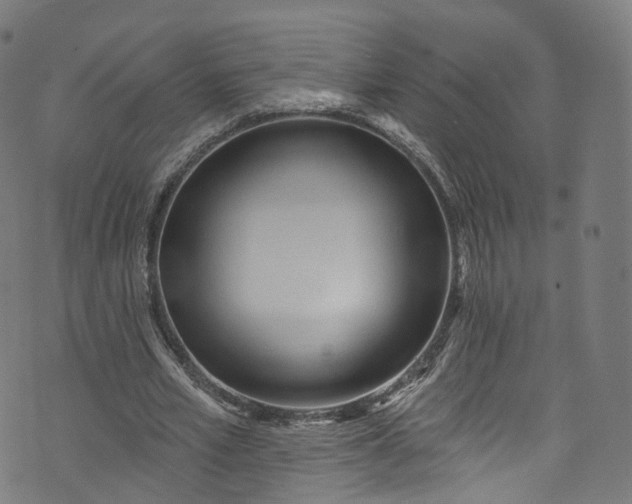 X0000073730581200608171231