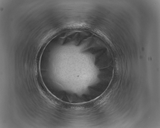 X0000073730582200608171231