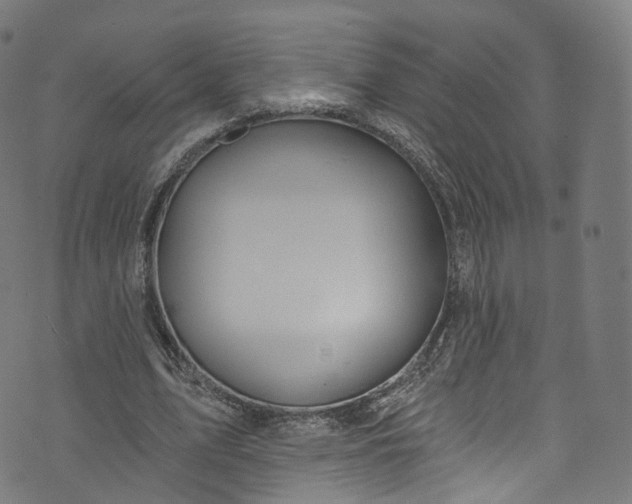 X0000073730583200608171231