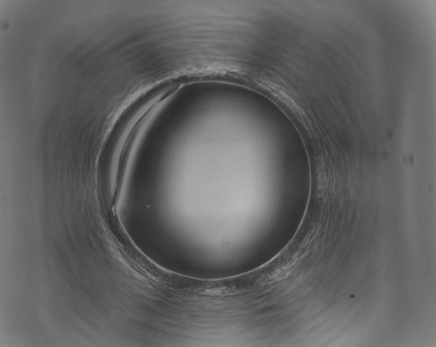 X0000073730584200608171231