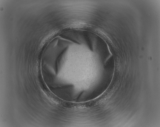 X0000073730586200608171231