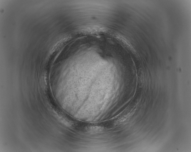 X0000073730590200608171231